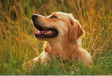 《三角战术》首批媒体评分解禁 综合评分83分