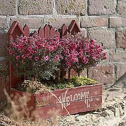 老头环仅第五！IGN评十大开放世界游戏